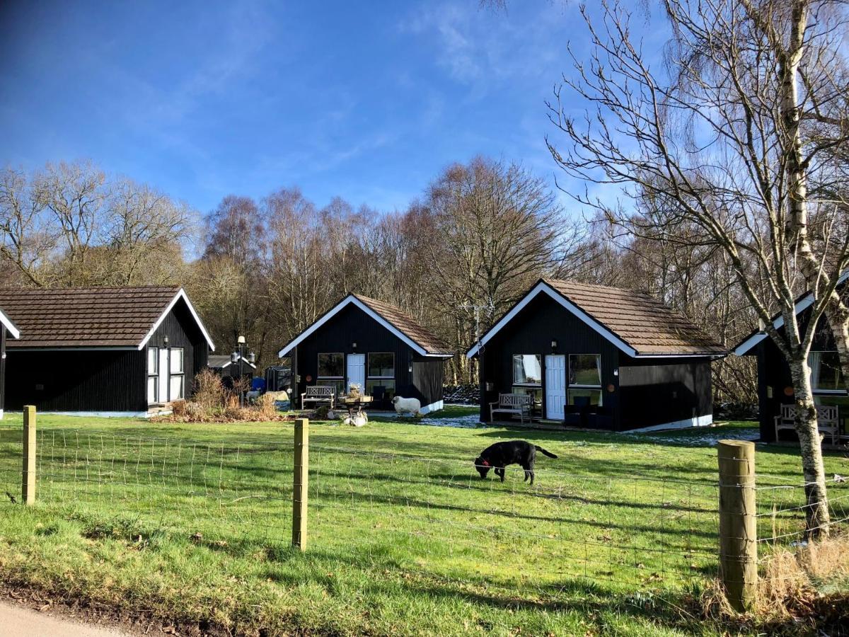 Kilcoy Chalets Muir of Ord Dış mekan fotoğraf