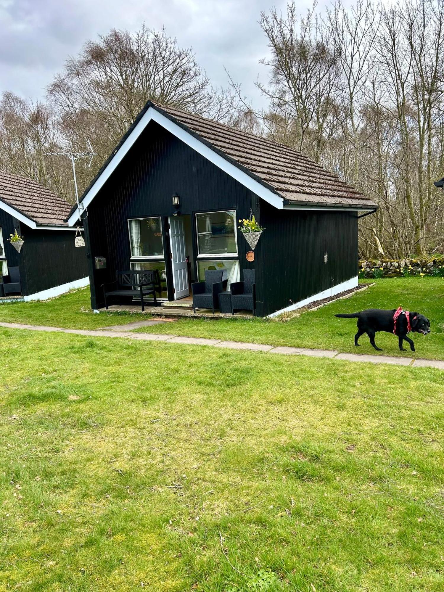 Kilcoy Chalets Muir of Ord Dış mekan fotoğraf