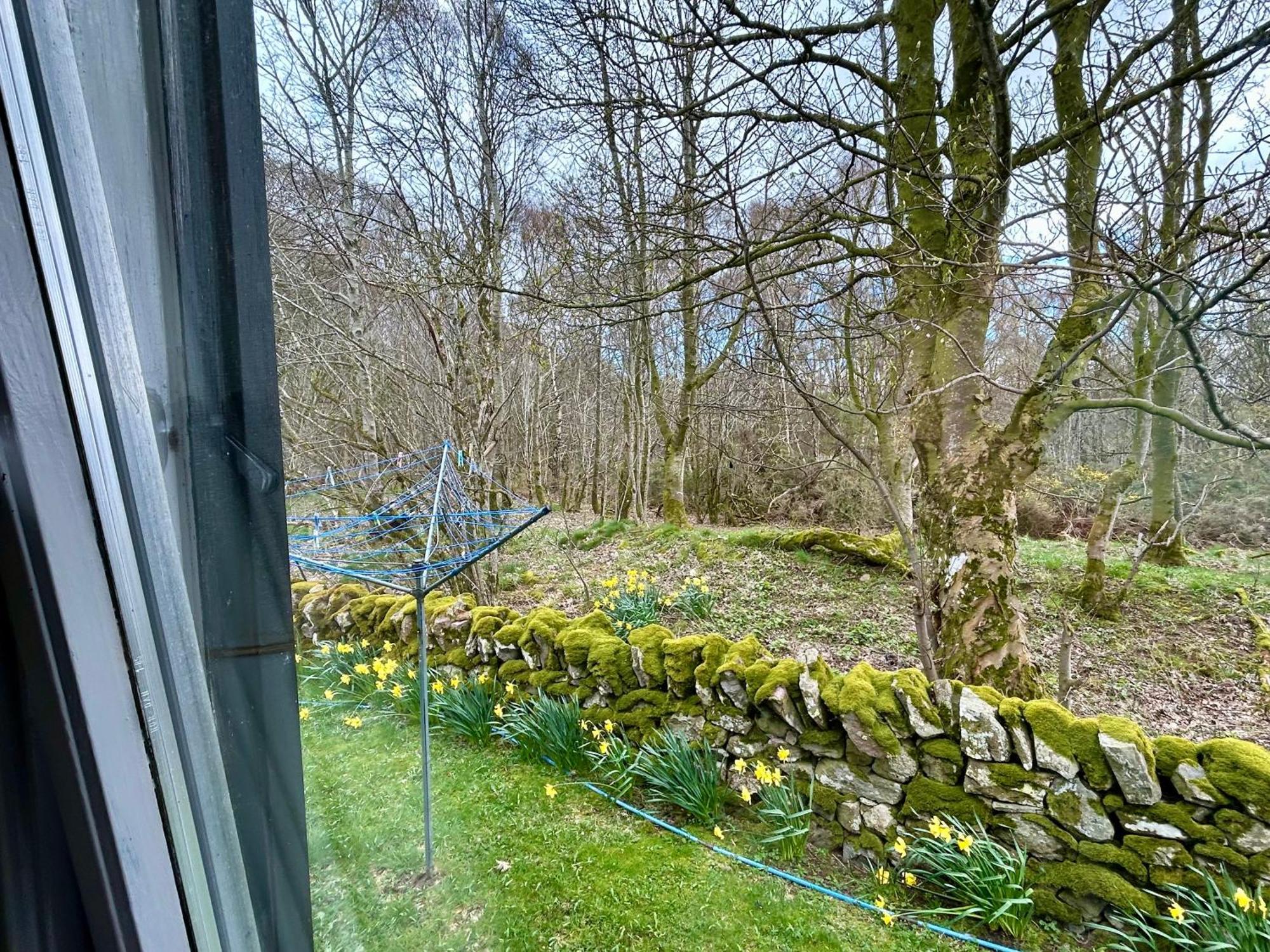 Kilcoy Chalets Muir of Ord Dış mekan fotoğraf